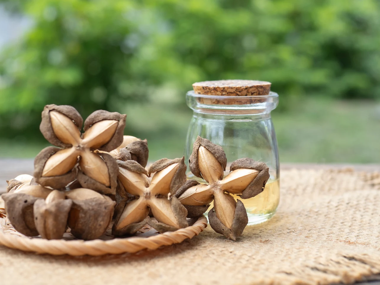 Sacha inchi seeds, the plant-based source of ALA omega-3 discussed above